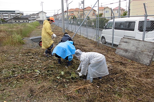 花壇整備作業・除草作業