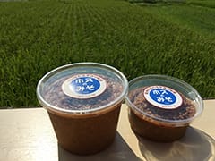 ホスの味噌「泉州につたわる手作り味噌」